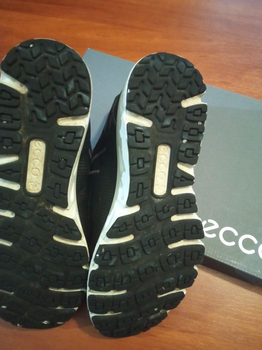 Кросівки Ecco Multi-Vent