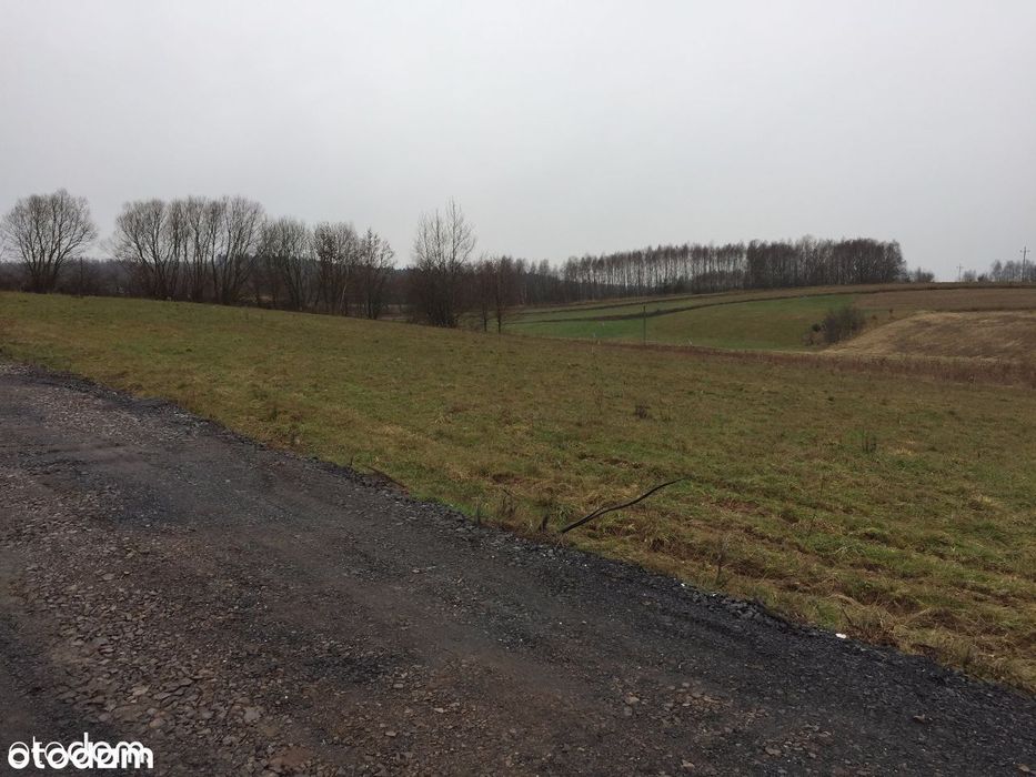 Pępice - piękne działki widokowe!