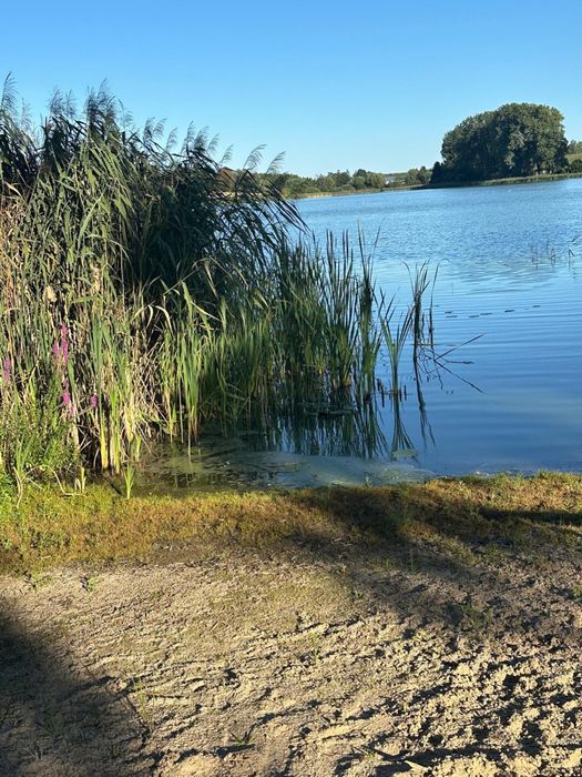 Działka budowlana z linią brzegową jeziora