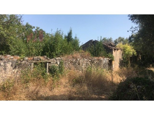 Terreno com casa para reconstrução - T2150/18 — Chãos, Santarém