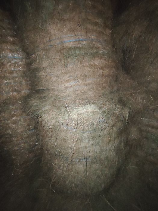 Fardos de palha e rolos de feno
