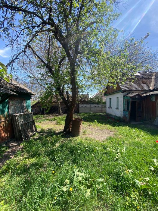 Продам будинок, в затишному районі, недалеко від центру м.Радомишль