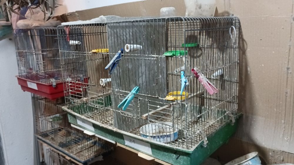 Gaiolas para aves e ninhos gr2