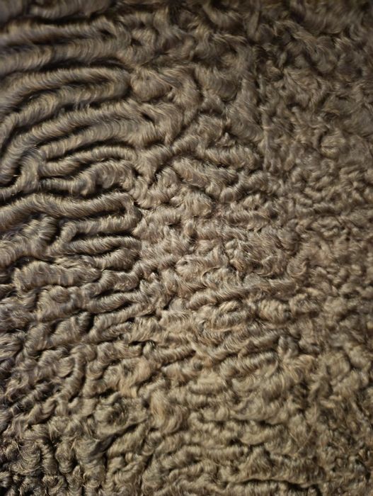 Шуба з каракулю коротка