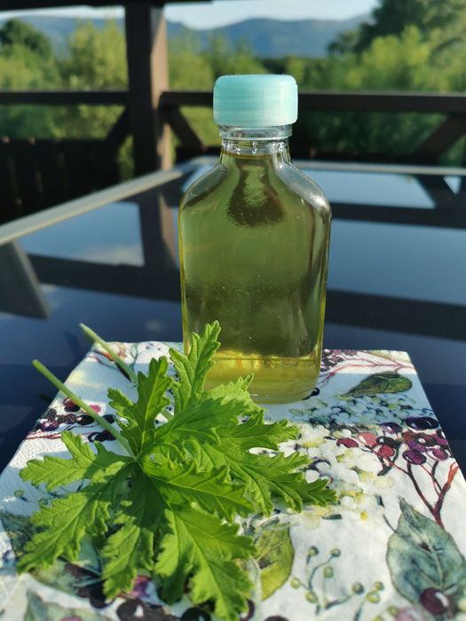 Olejek z liści geranium.
