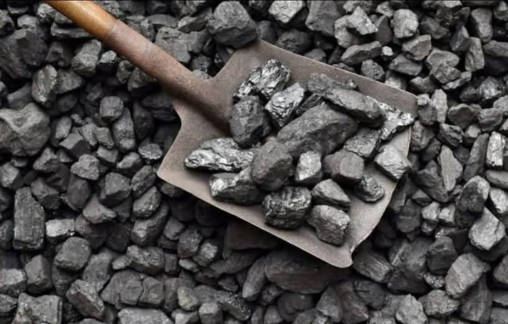 Miał groszek do pieca na podajnik orzech kostka