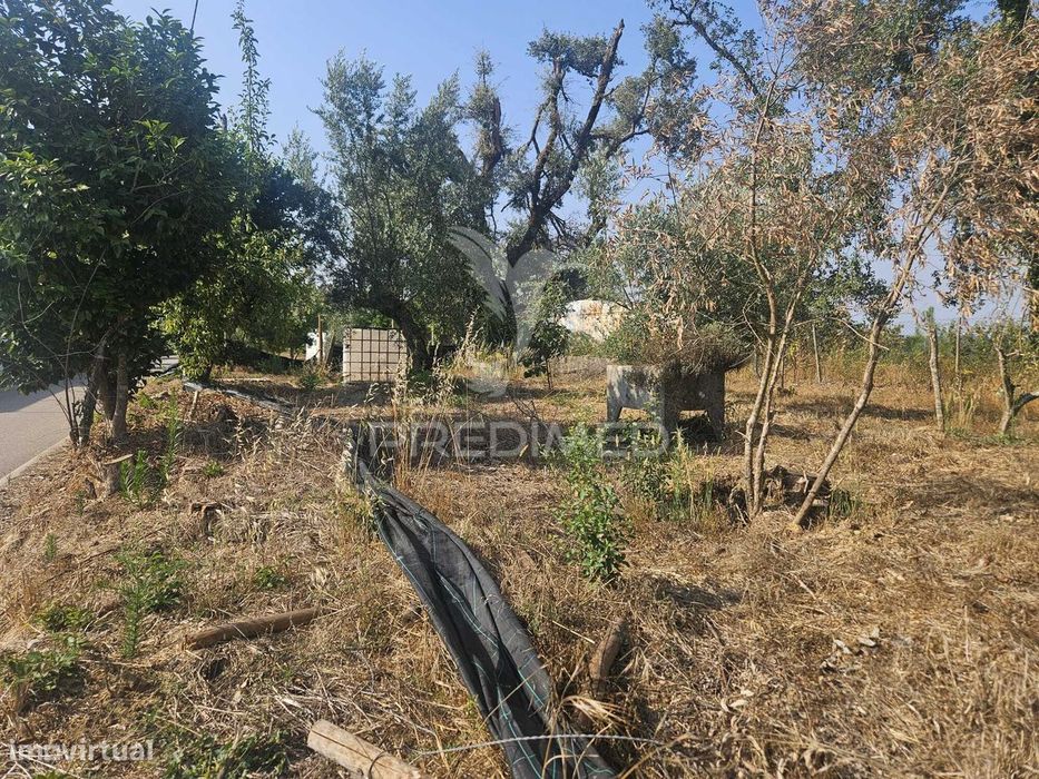 Terreno em Ferreira do Zêzere