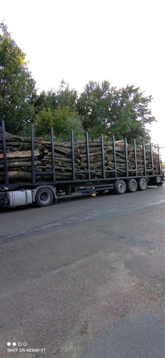 Дрова Дубові з Доставкою по Київській області, Дуб Дрова