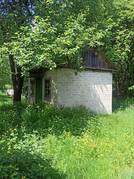 Будинок із землею