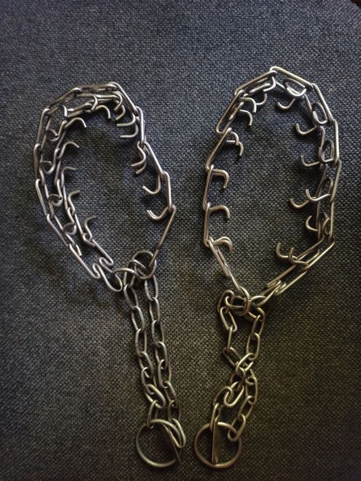 Строгий ошийник для собаки