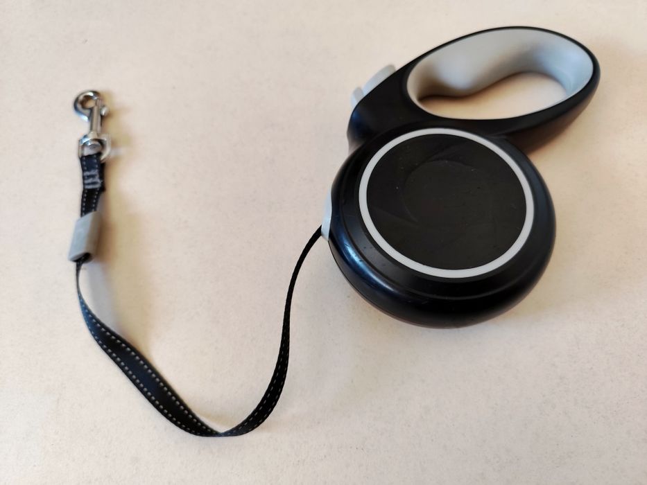 Trela Extensível para Cão de Pequeno Porte (5 metros)