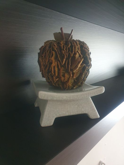 Artigos de decoração