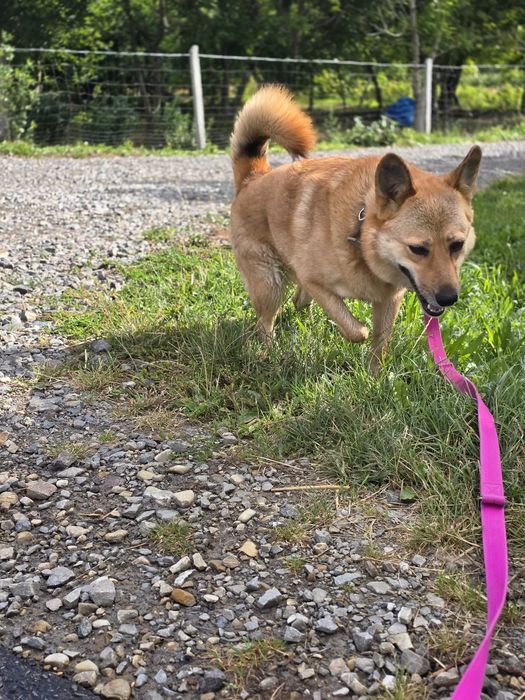 Uśmiechnięta Sally