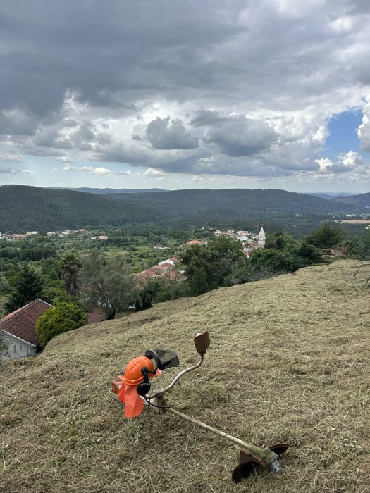 Limpeza de terrenos