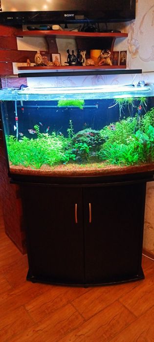 Акваріум в комплекті з обладнанням