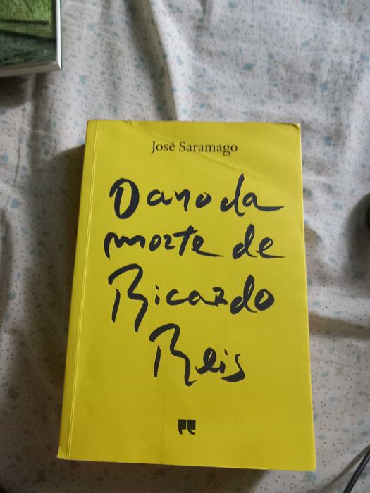 O ano da morte de ricardo reis