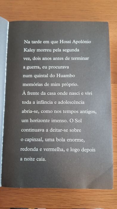 José e. Agualusa- a sociedade dos sonhadores involuntários