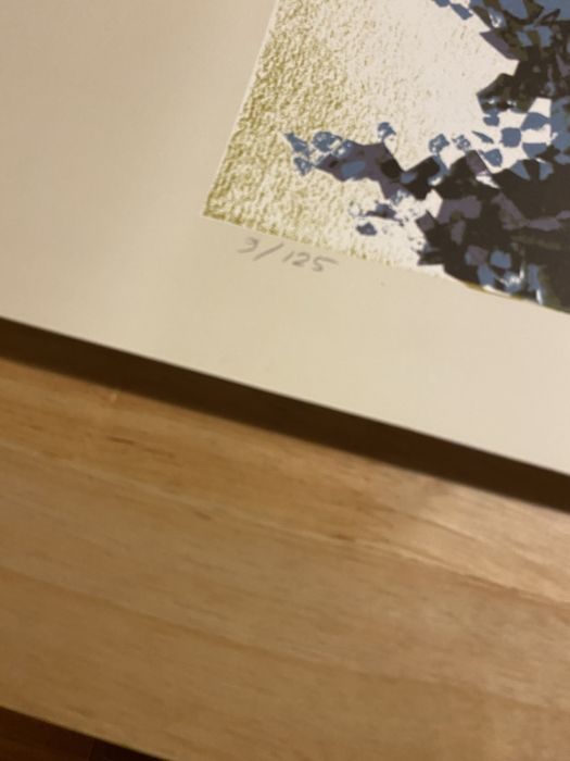 Serigrafia AMÂNDIO SILVA 87