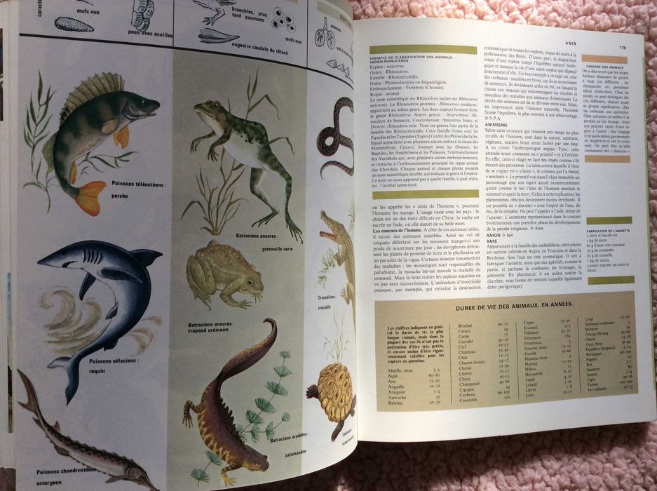 Excelente enciclopédia completa