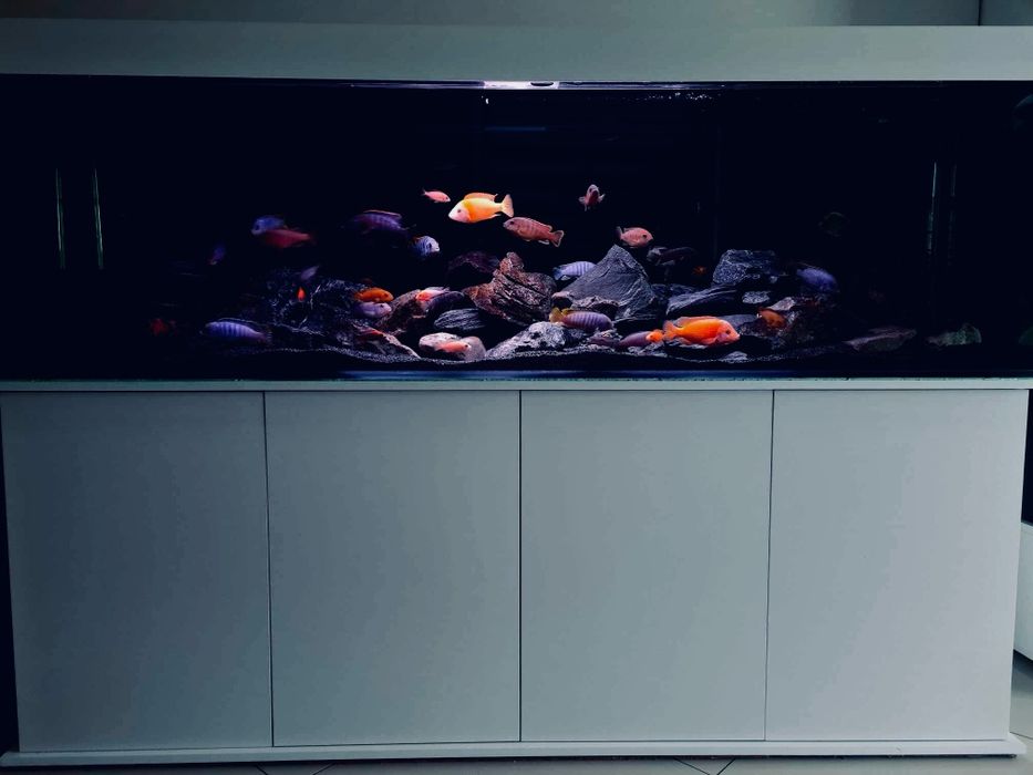 Zestaw akwariowy 200x60x60