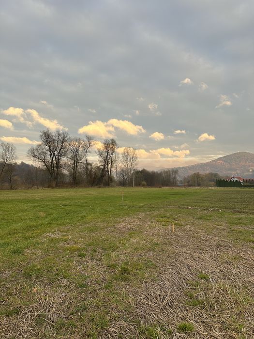 Działka BUDOWLANO-PRZEMYSŁOWA M. Limanowa - Łososina Górna - Widok 4