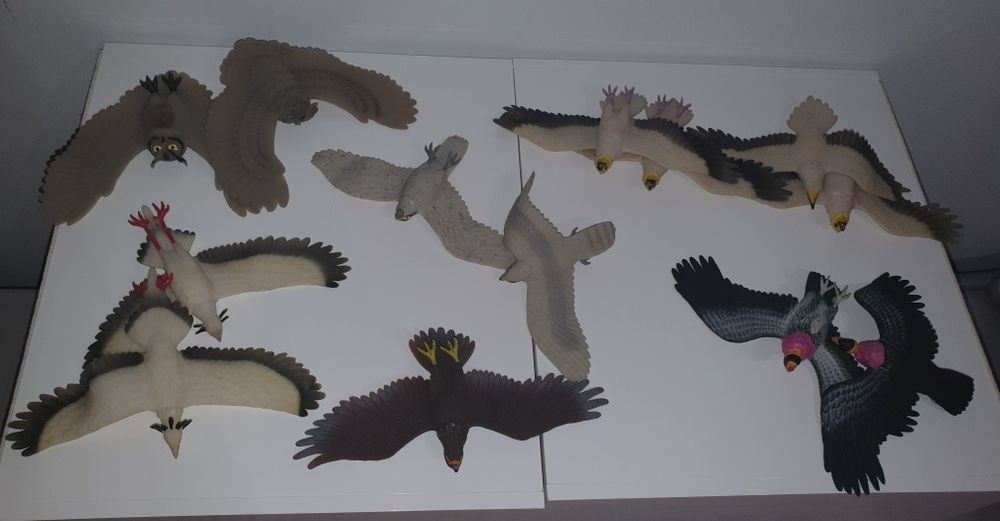 Deagustini kolekcja Falcons Ptaki