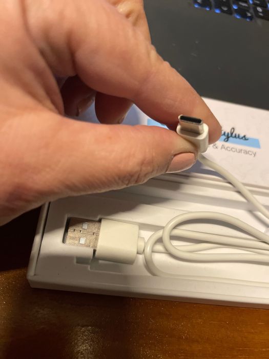 Pen Stylus para Ipad