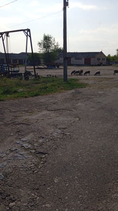 Продам будівлі та споруди комплекс будівель