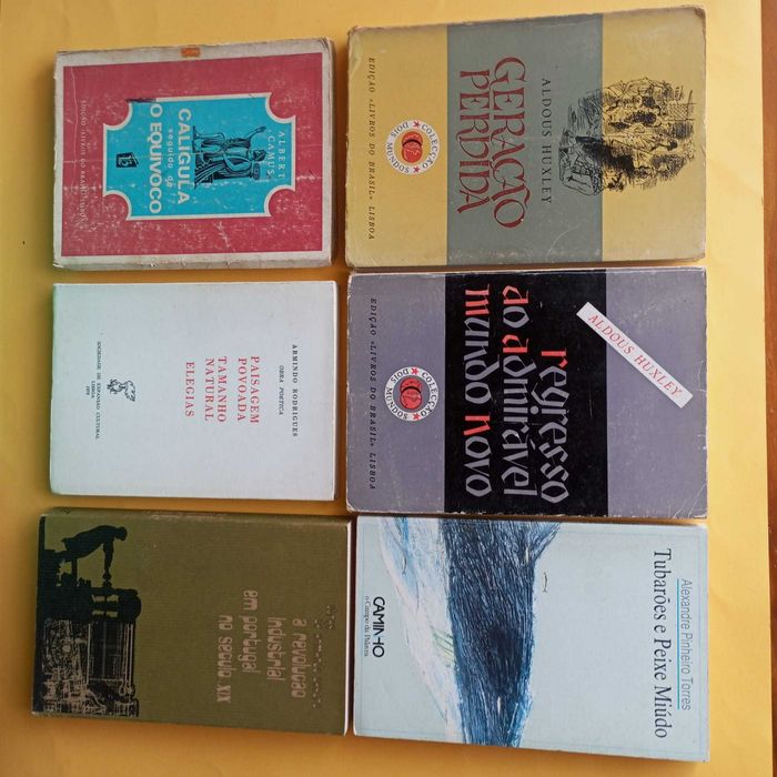 Coleção de Livros Mistos - Autores Variados - Conjunto 7