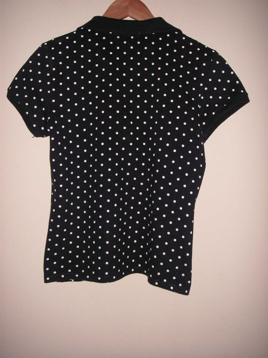 Polo Springfield ( Impecável )