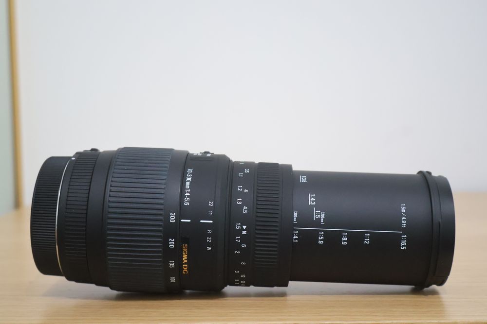 Sigma 70-300 mm F/4-5.6 Macro (Canon EF)
