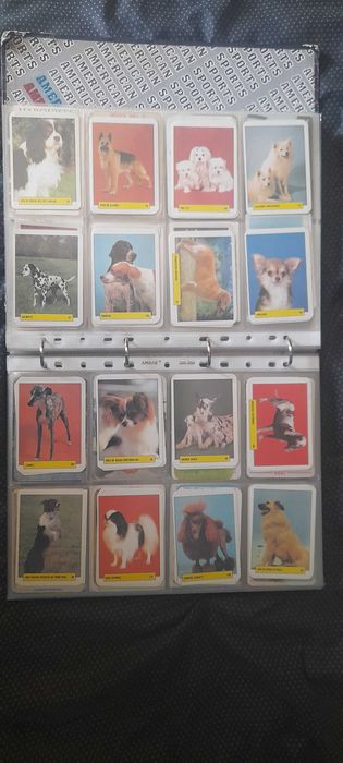 Mais de 700 Calendários