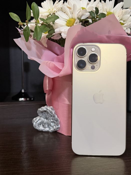 Iphone 13 pro max 256