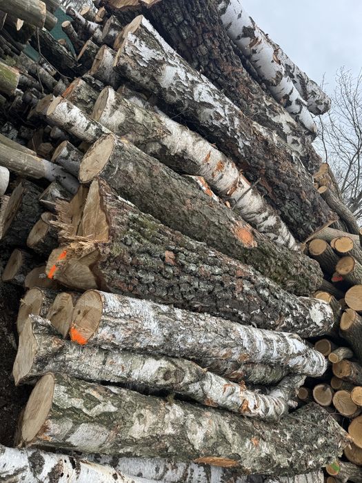 Drewno Kominkowe lub opałowe SUCHE, dąb, owocowe do wędzenia -  dowóz