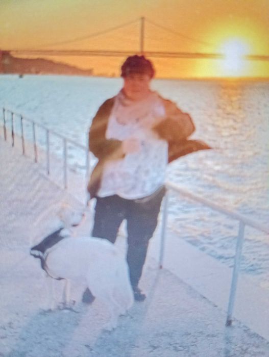 Petsitter Almada