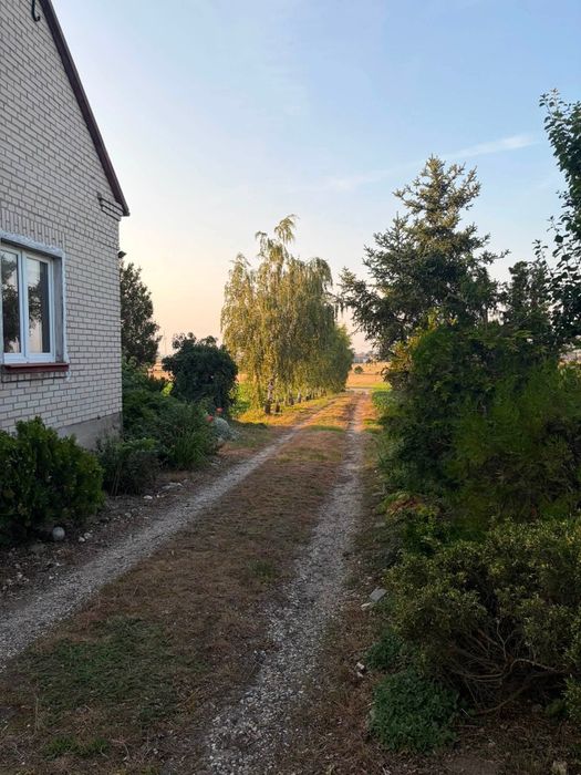 Zdjęcie 8
