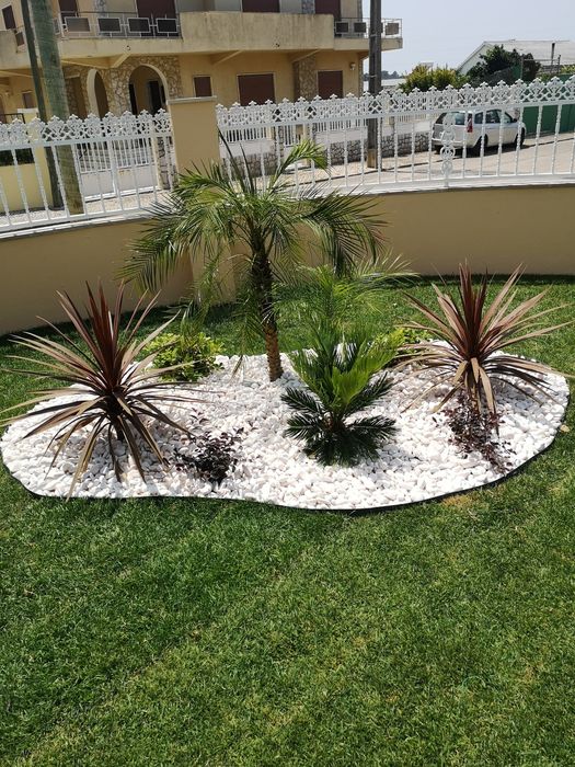 Faco todo serviço de jardinagem