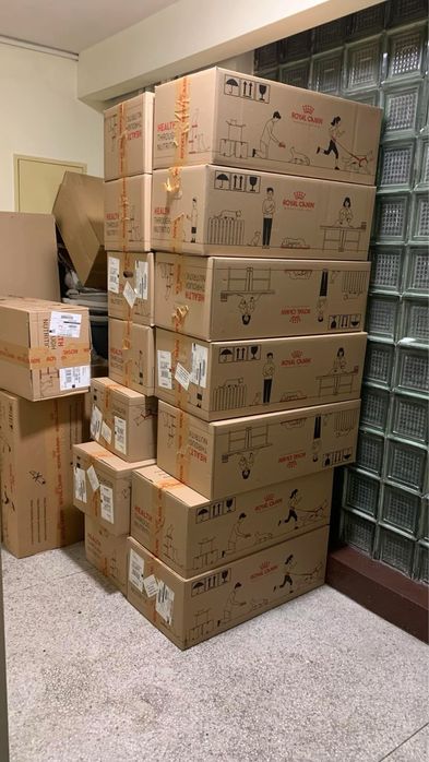 5kg ‼️ Wzbogacona Karma dla Kociaków Kotek w ciąży Royal Canin RC PRO