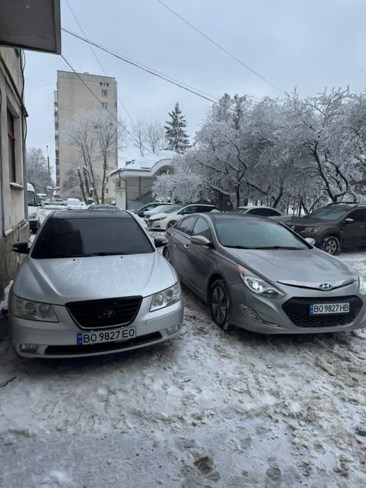 оренда авто|Тернопіль