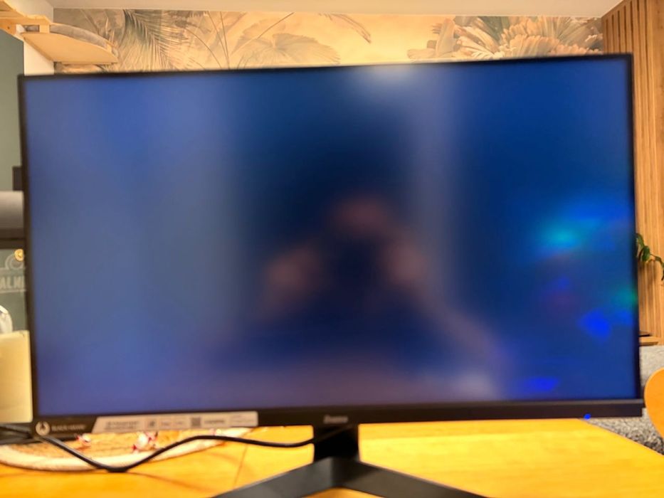 Monitor iiyama G-Master Black Hawk G2450HSU-B1 24"