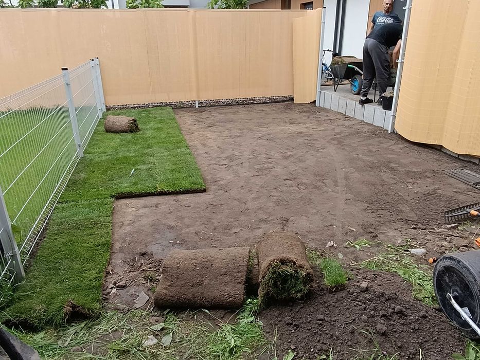 Trawnik z siewu i rolki.  OGRODY  Serwis trawnika   Formowanie roślin