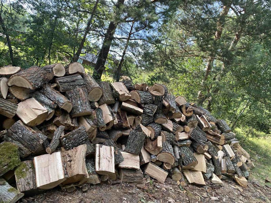 Дрова Колоті Граб Пєц Дуб Камін Береза Котел Доска Необрізна Пиломатеріали Дерево Криша Піддони Доставка Поддони Скупляємо