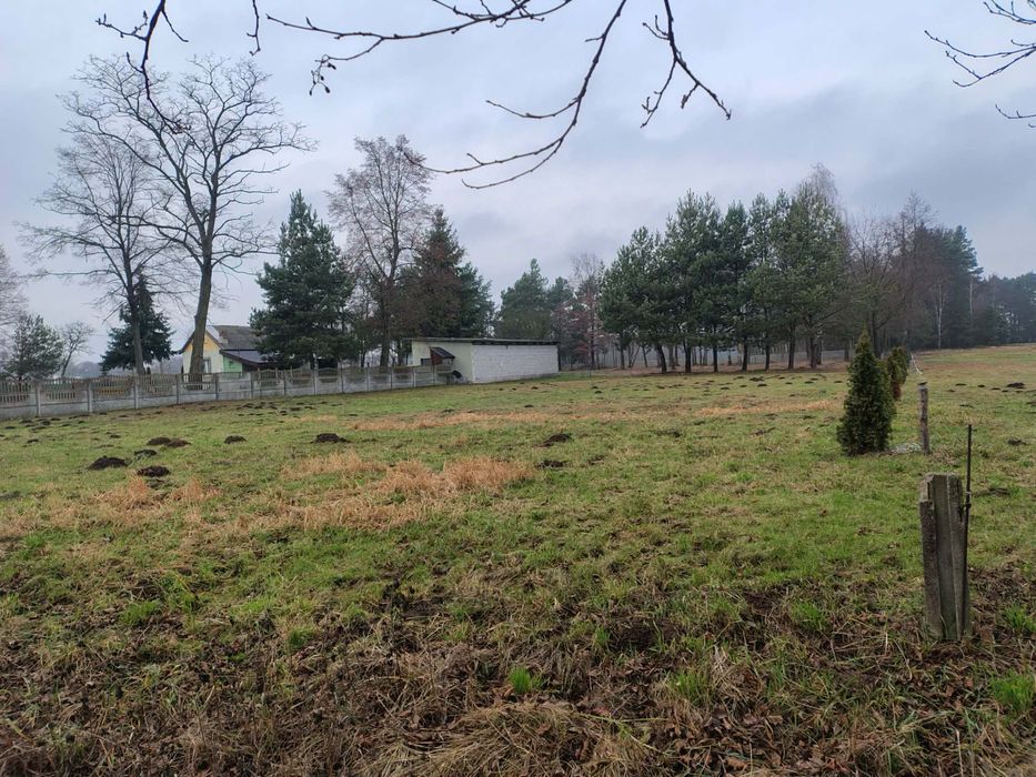 Siedlisko w Łosinnym, blisko Wyszkowa