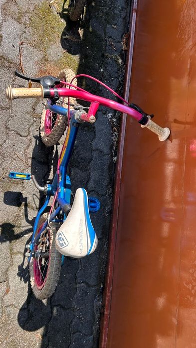 Bicicleta de Menina
