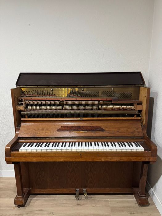 Piano Newton & Newton