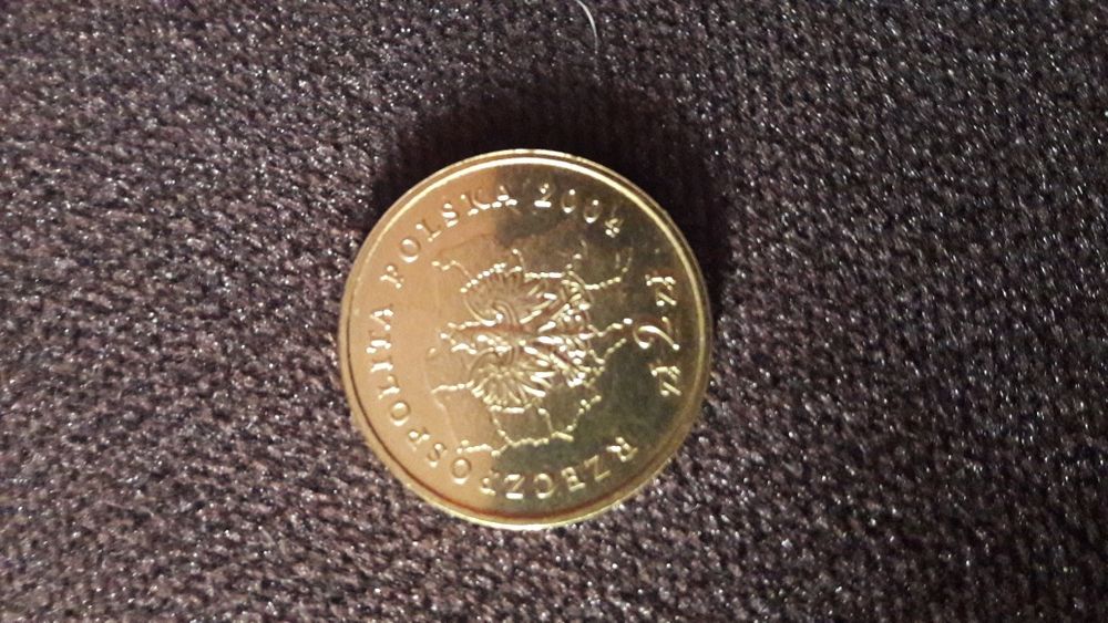 Moneta kolekcjonerska 2zł z 2004 r