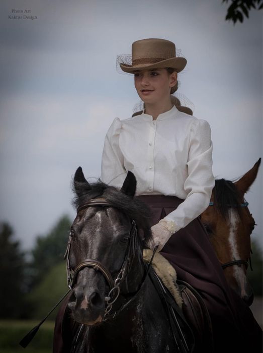 Wspaniały kuc feliński ze sprzętem