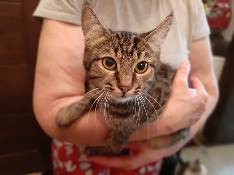 Хлопчик шукає родину!