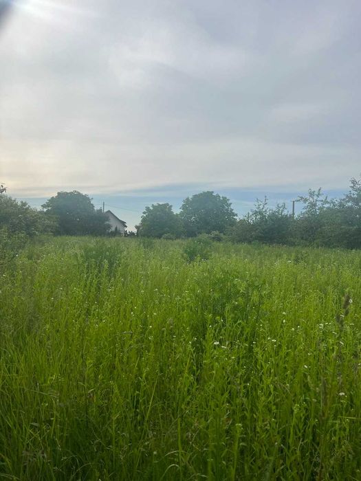 Продаж земельної ділянки під будівництво у с. Мшана, 20км від Львова