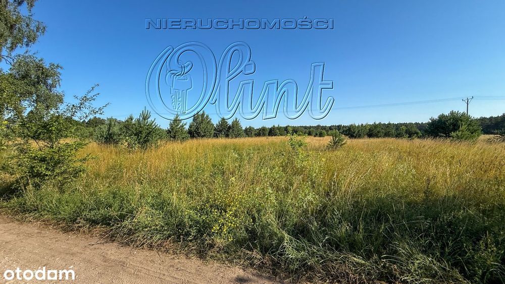 Teren gotowy na inwestycję - Widok 5